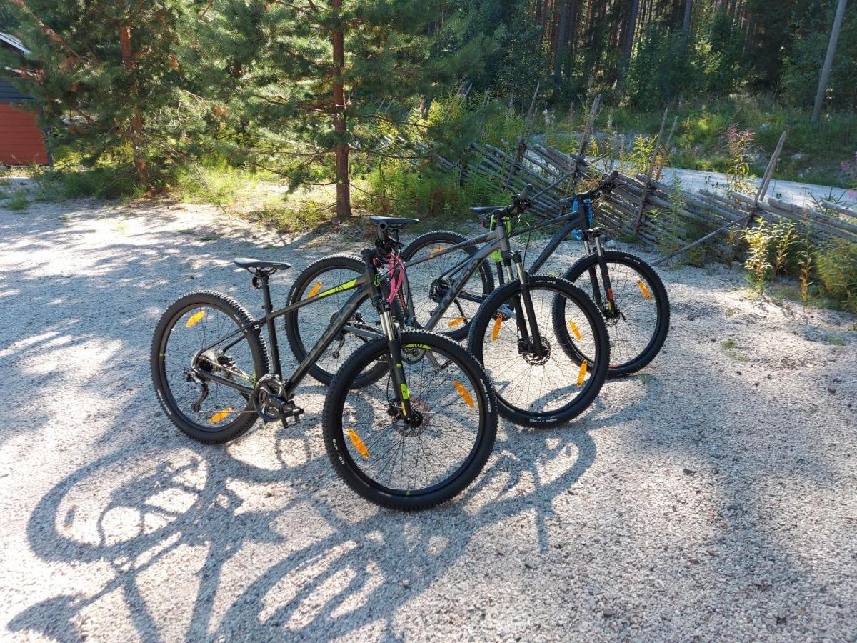 Aalto Koli Villa Kolinkylä Eksteriør bilde